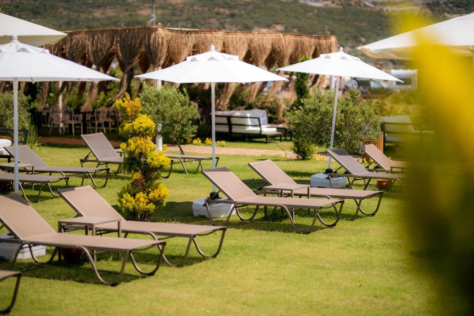 Assos Troy Beach Hotel Dış mekan fotoğraf
